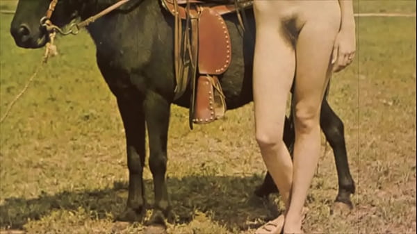 Sex Mit Tieren Hunden Pferden Porno Vidéos de Sexe et Porno Gratuit | Videos-xxx-gratuit.com