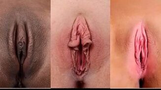 Vidéo avec des photos de diverses chattes